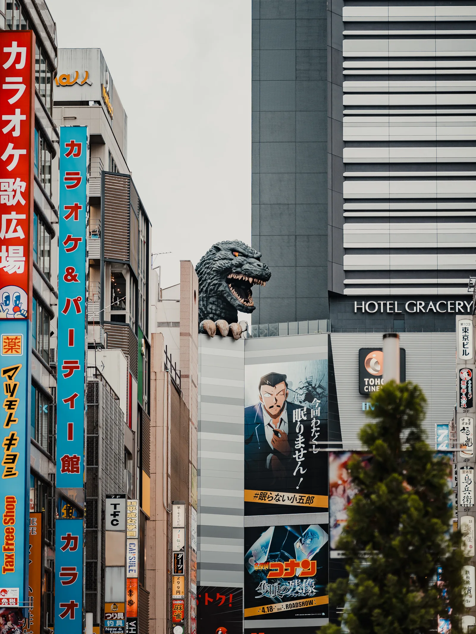 Japon — photo 3