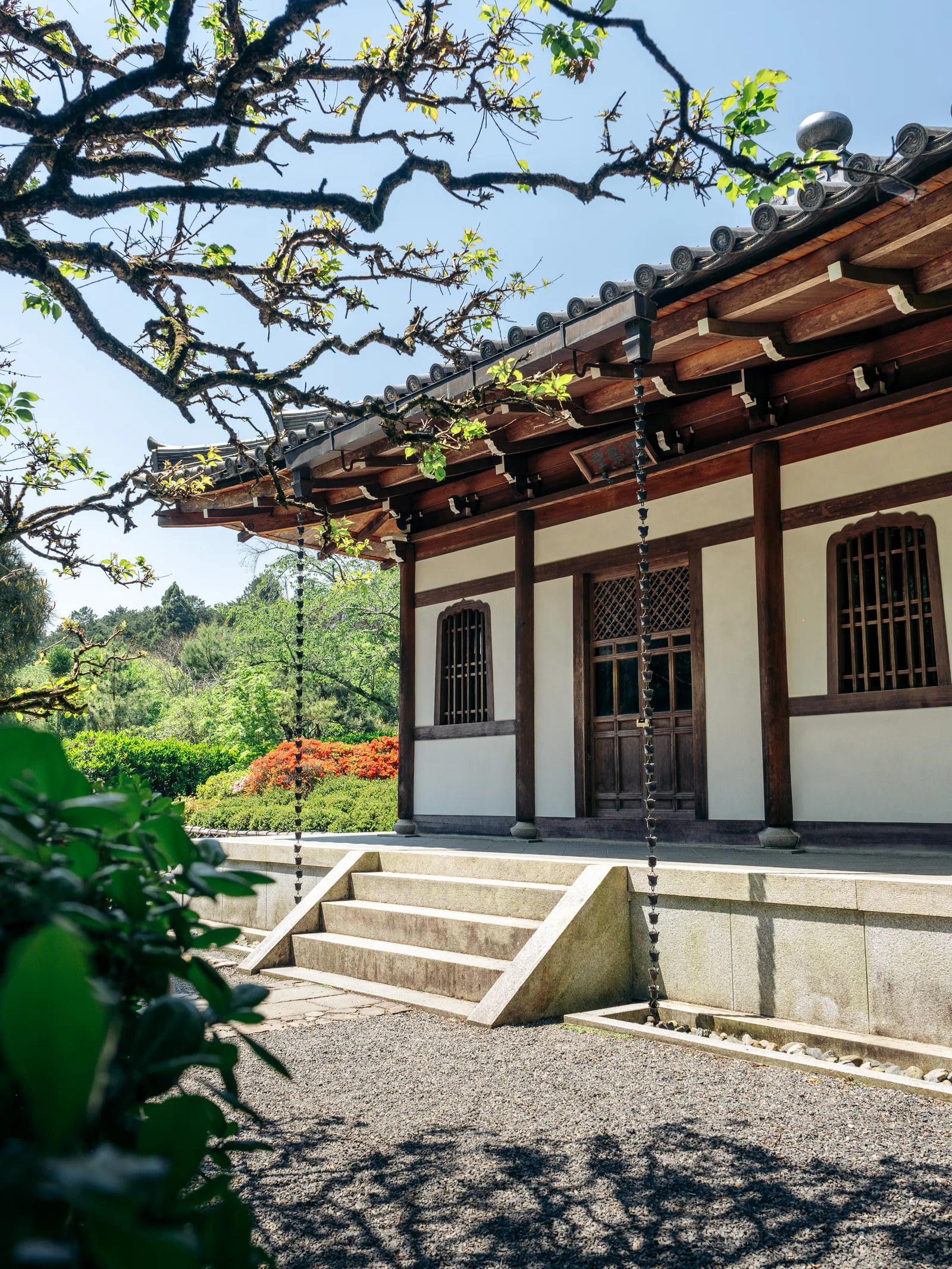 Japon — photo 6