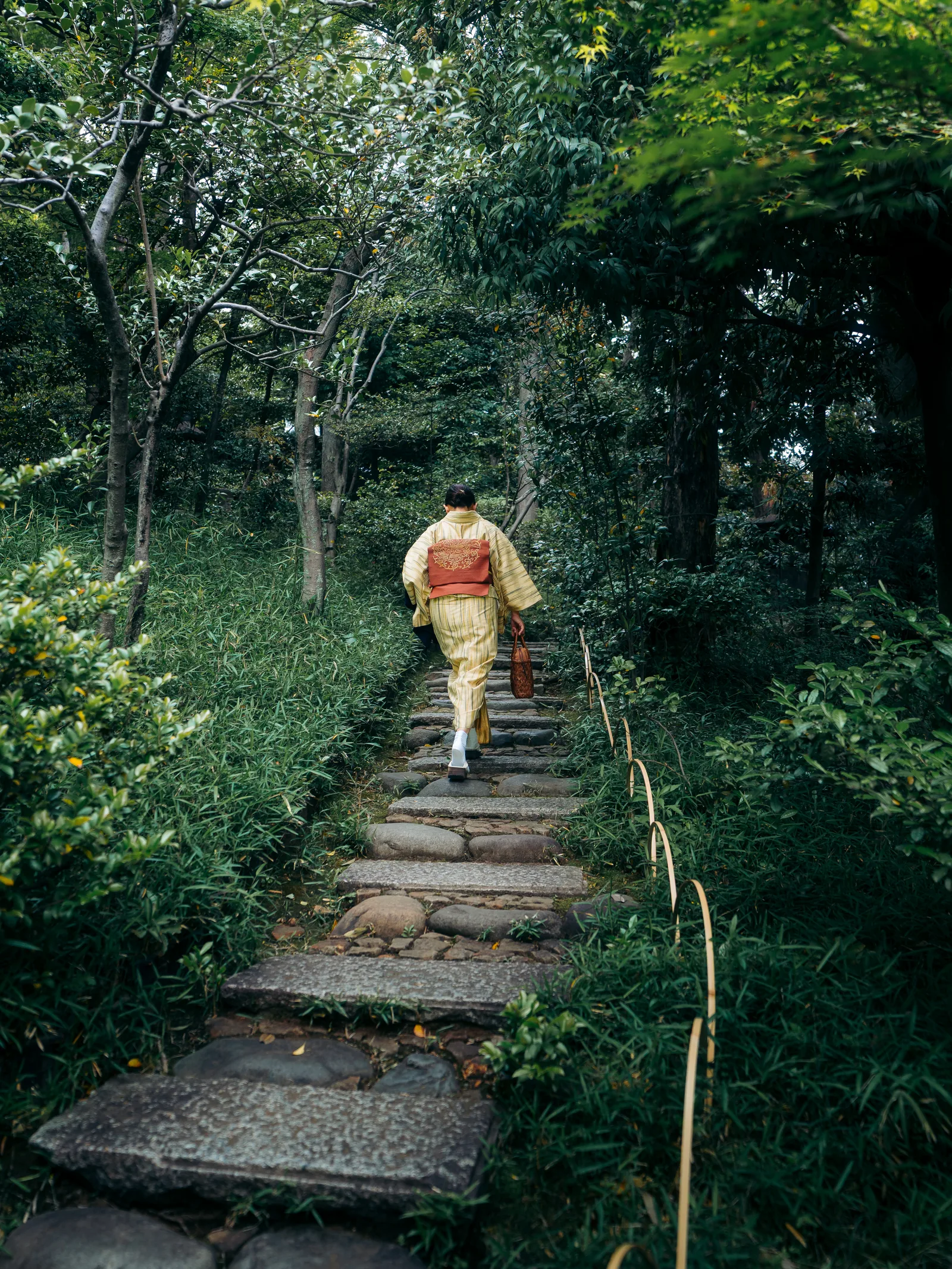 Japon — photo 70